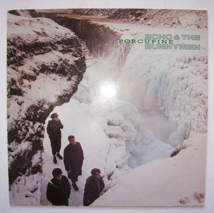Porcupine [Bonus Tracks] [Remaster]