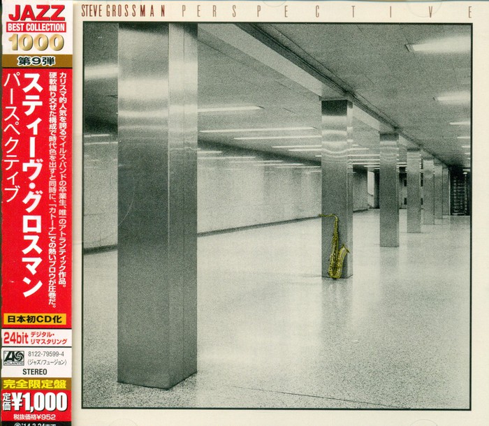 Perspective (Japanese Edition)