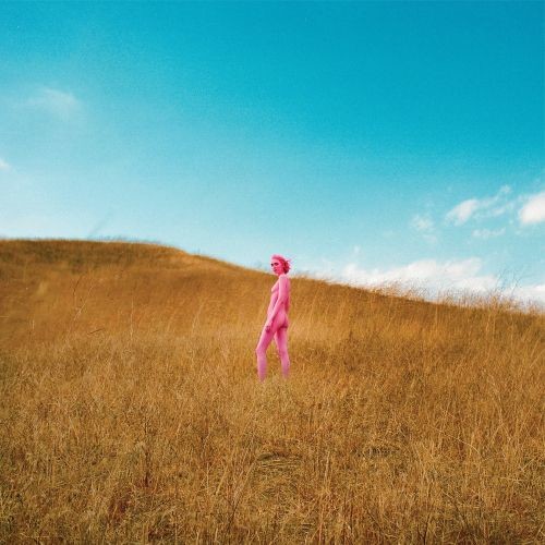 Further Joy (Indie Exclusive) (Transparent Pink Vinyl)