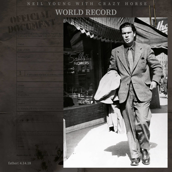 World Record (Clear Vinyl) (Indie Exclusive) (Limited)