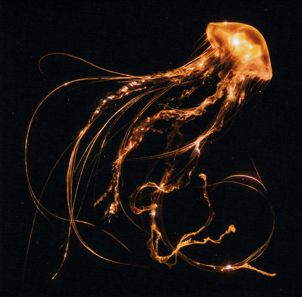 Back to the Water Below (Clear Vinyl) (Indies Only)