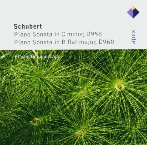 Schubert: Piano Sonatas Nos 19 &amp; 21