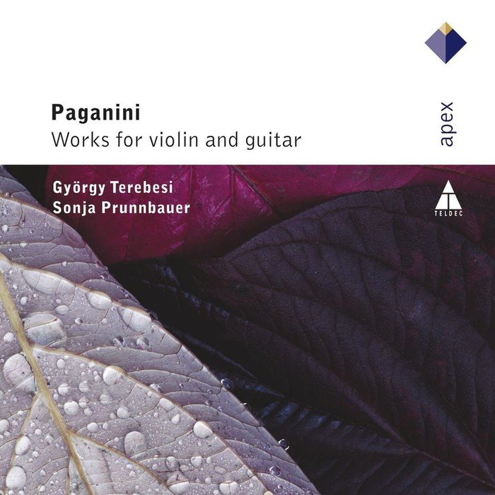 Paganini: Works For Violin &amp; Guitar