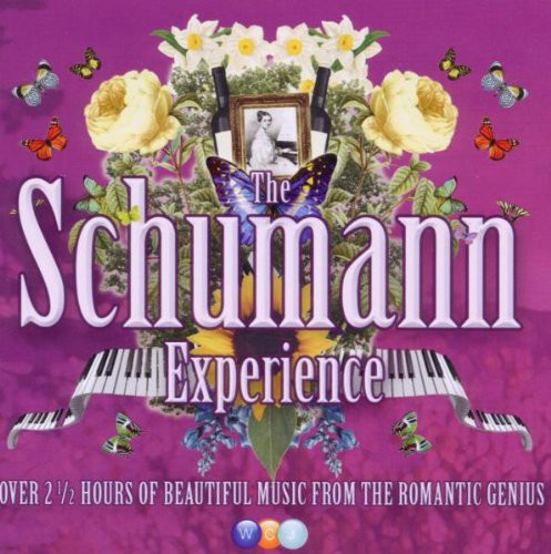 The Schumann Experience