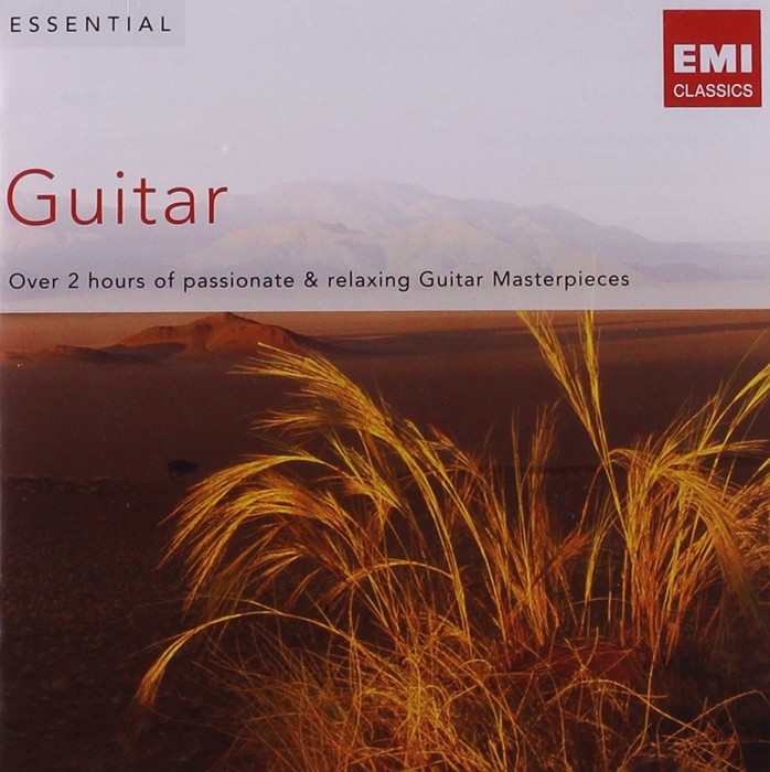 Essential Guitar
