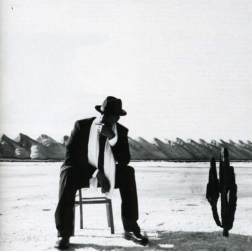 Le cactus de siberie