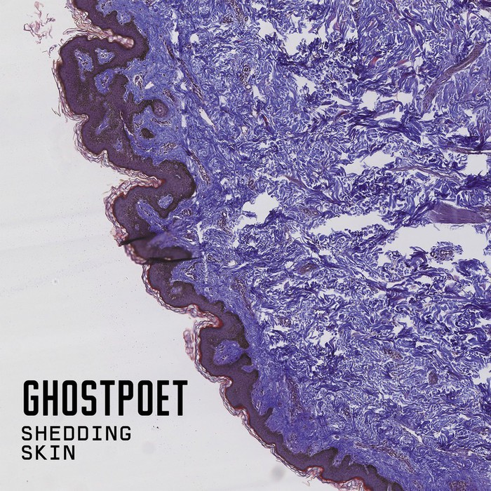 Shedding Skin (LP+CD)