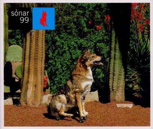 Sonar 99