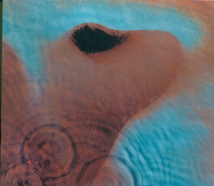 Meddle (Remaster)