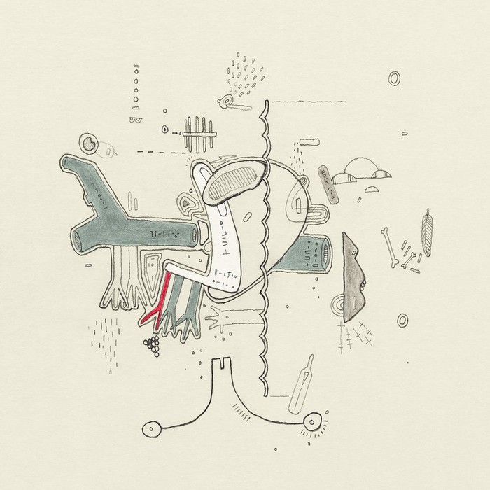 Tiny Changes: A Celebration of Frightened Rabbit's "The Midnight Organ Fight"