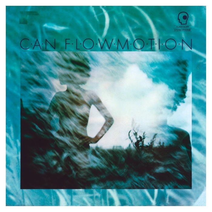Flow Motion
