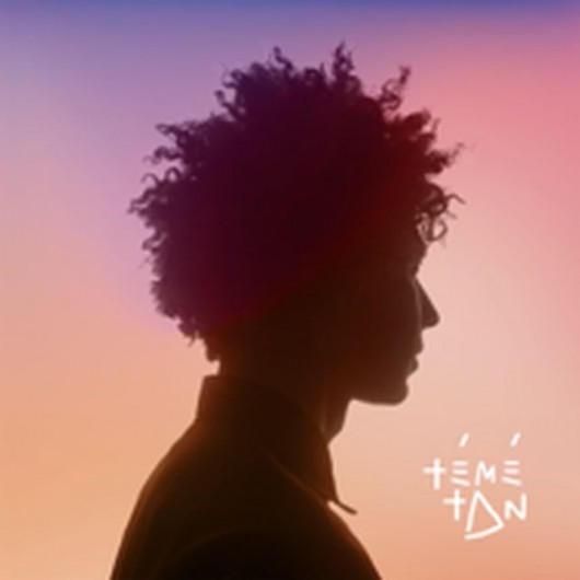 Témé Tan