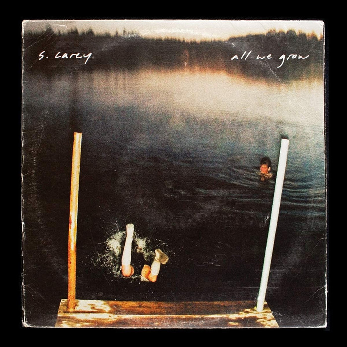 All We Grow (Ten Year Anniversary Edition) (Clear Vinyl)