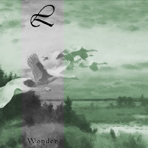 Wonder