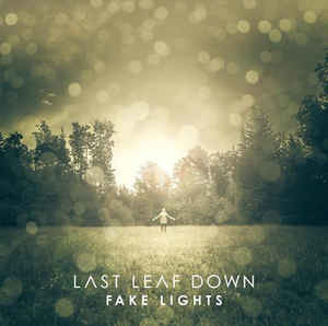 Fake Lights