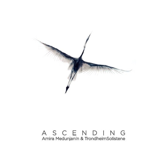 Ascending