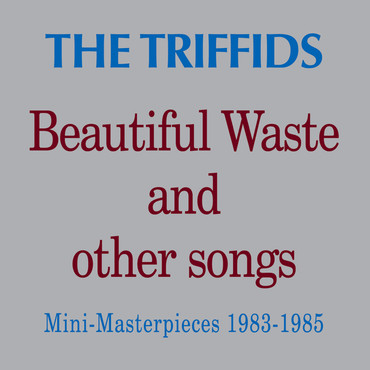 Beautiful Waste and Other Songs - Mini Masterpieces 1983-1985