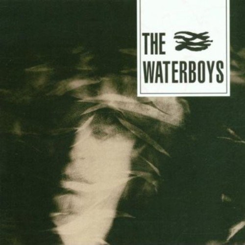 The Waterboys