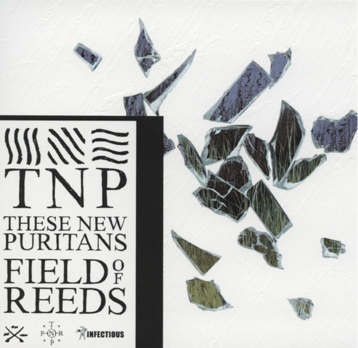 Field Of Reeds