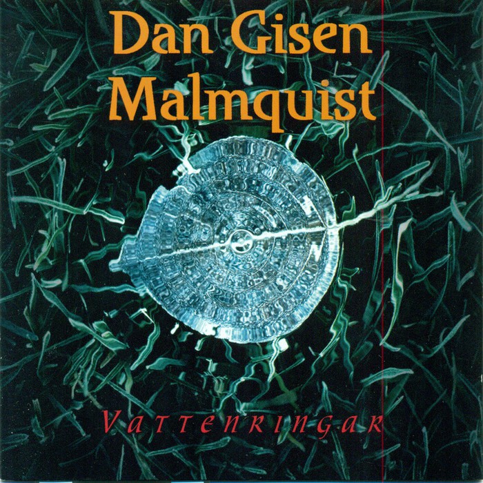 Vattenringar