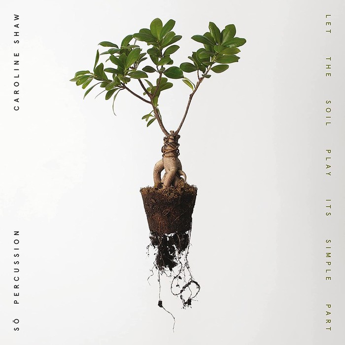 Let The Soil Play Its Simple Part (Clear Vinyl)