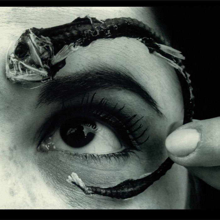 Disco Volante (Rocktober) (Limited) (Translucent Light Blue Vinyl)