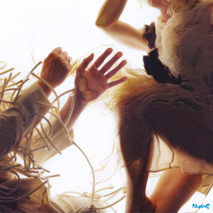 Animal (feat. Laura Marling &amp; Mike Lindsey)