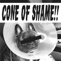 Cone Of Shame (7" Clear)