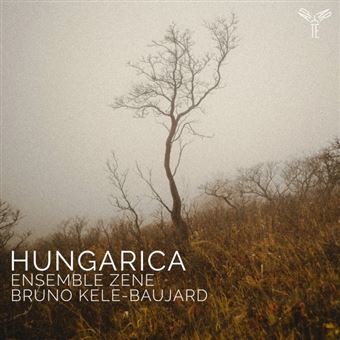 Hungarica