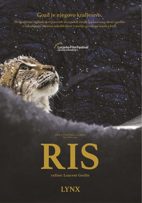 Ris