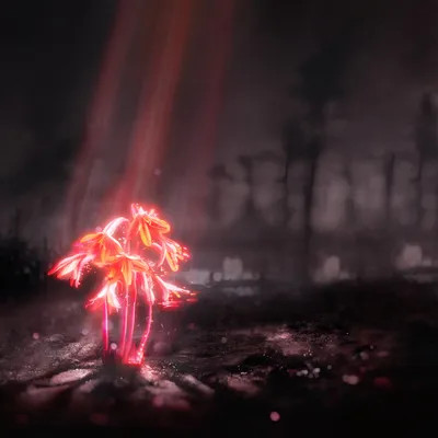 A Kiss For The Whole World