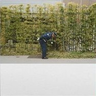 Good Luck And Do Your Best (Light Green Vinyl)