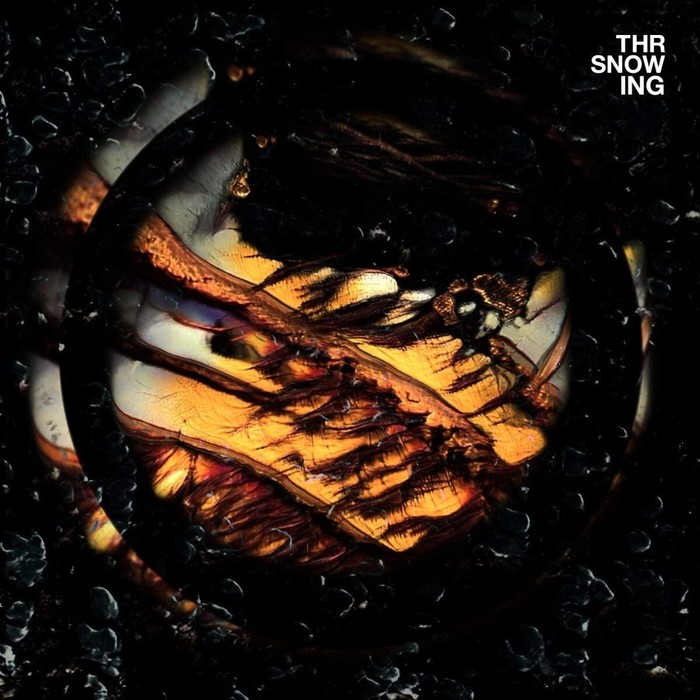 Dragons (Orange Vinyl)