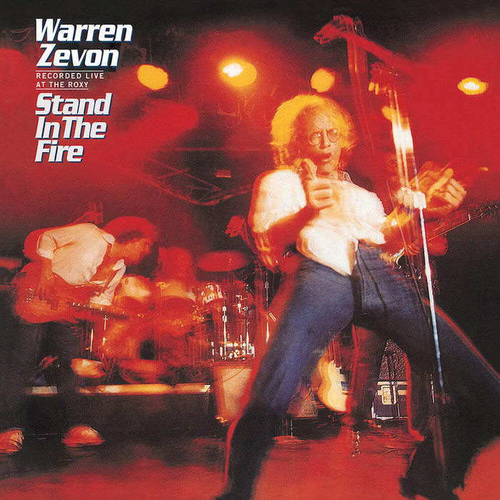 Stand In The Fire (180g) (Limited)