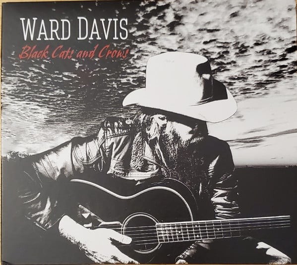 Black Cats And Crows