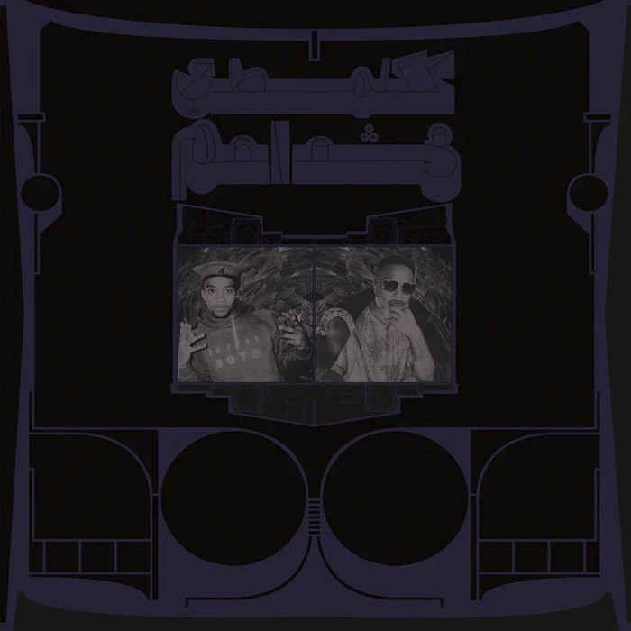 Exotic Birds Of Prey