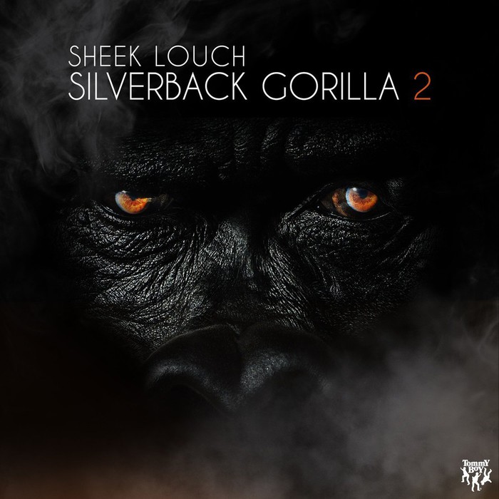 Silverback Gorilla 2