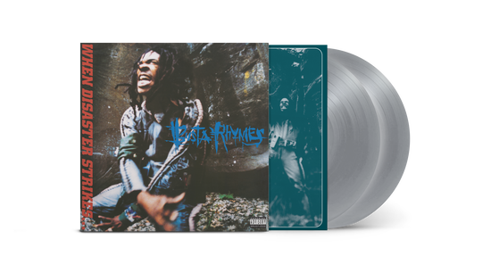 When Disaster Strikes (Silver Vinyl) (Limited)