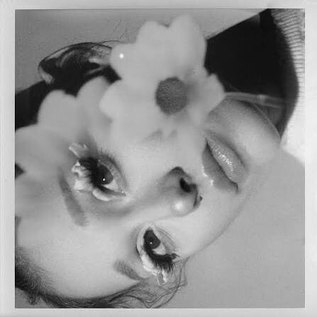 Petal (Exclusive) (Limited)