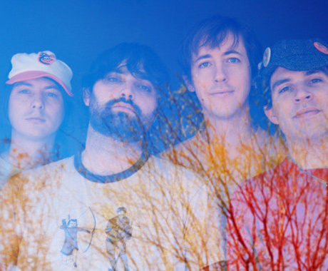ANIMAL COLLECTIVE