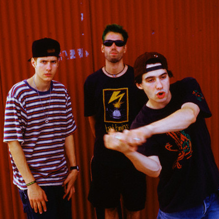 Izvajalci/BEASTIE_BOYS