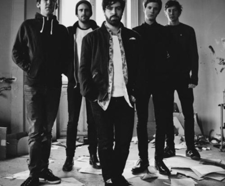 Foals