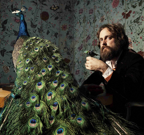 Izvajalci/IRON__WINE_1