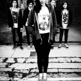 Marmozets