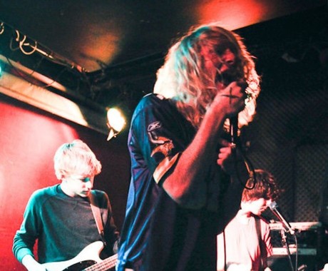 THE ORWELLS