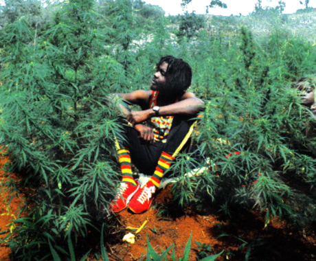 Peter Tosh
