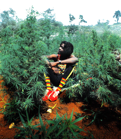 Izvajalci/PETER_TOSH