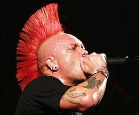 THE EXPLOITED
