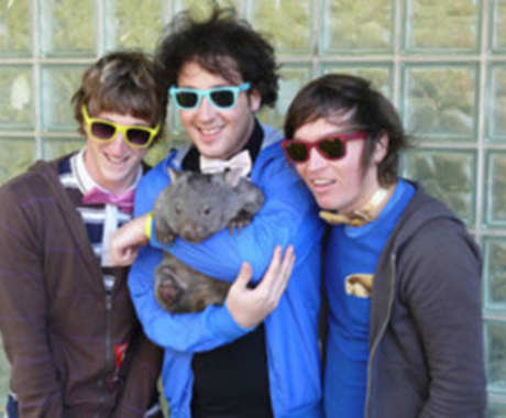 Wombats