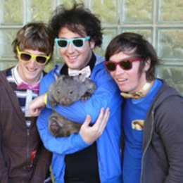Wombats